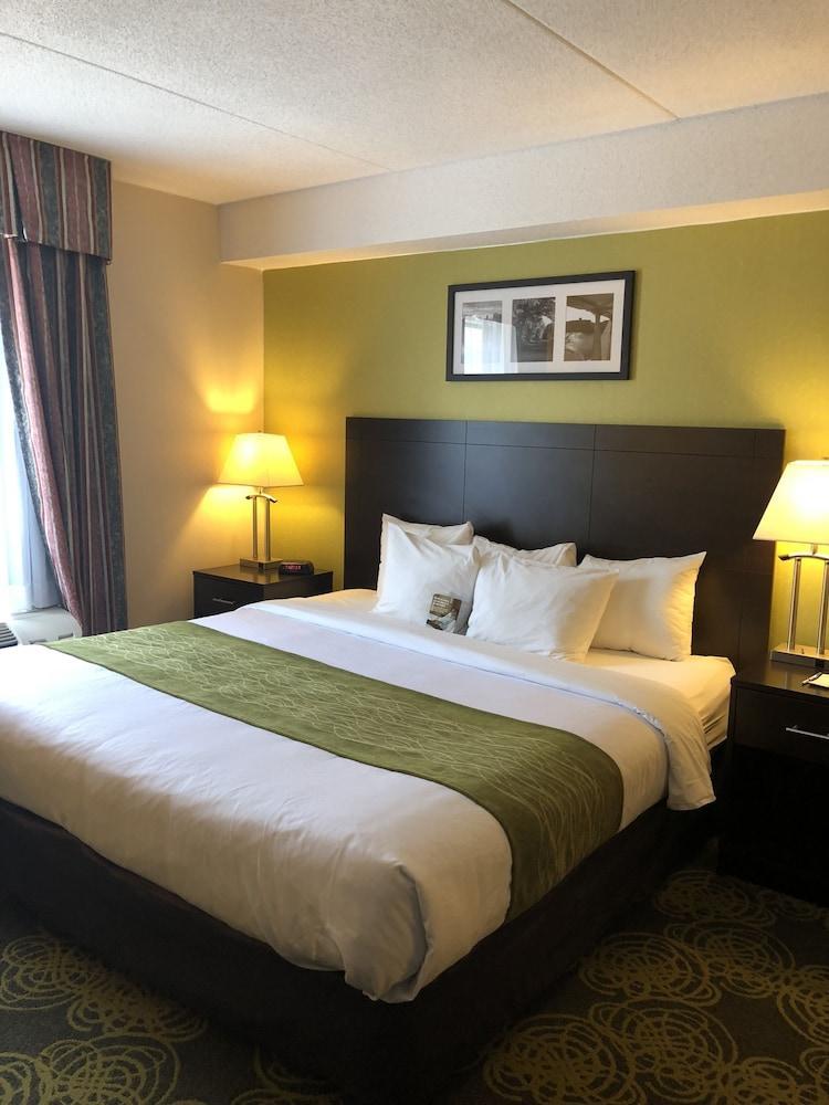 Comfort Hotel & Suites Peterborough Buitenkant foto
